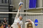 VB vs WSU  Wheaton Women's Volleyball vs Worcester State University. - Photo by Keith Nordstrom : Wheaton, Volleyball